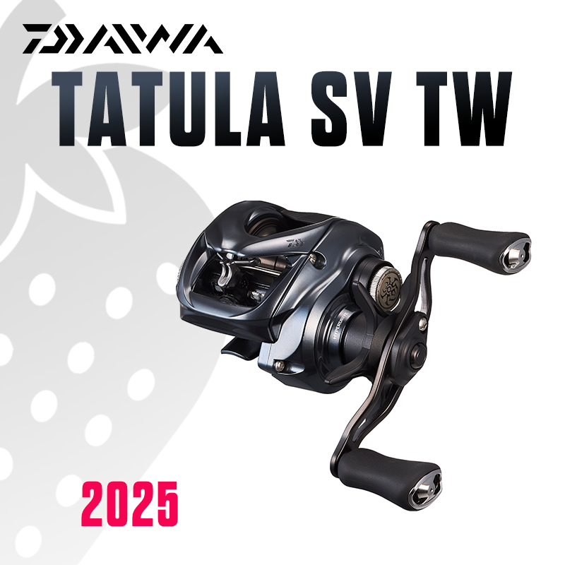DAIWA 2025 TATULA SV TW100 Ang – Abu Garcia Reel Max Bewertung und Preis